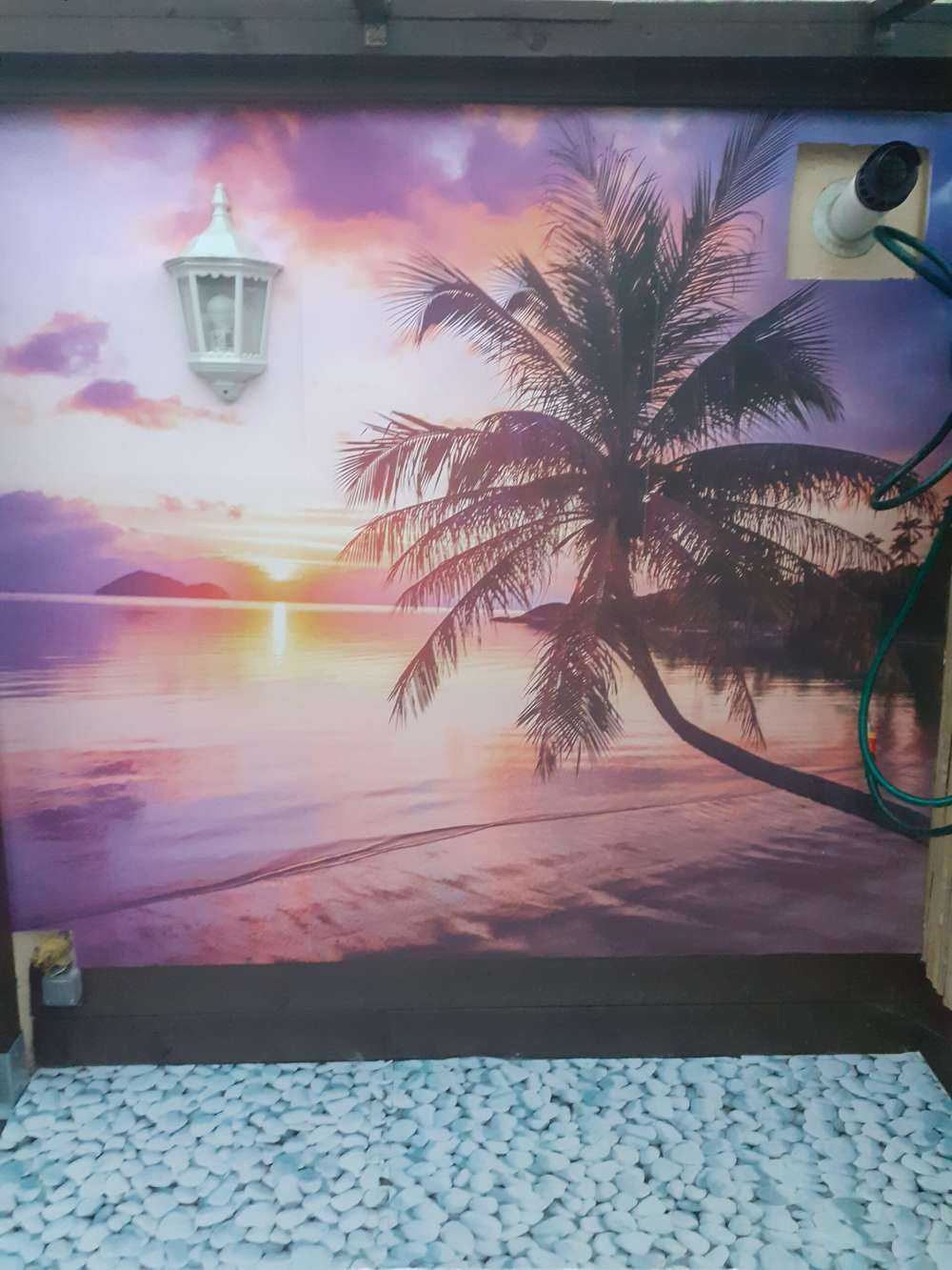 Palmetræ ved solnedgang