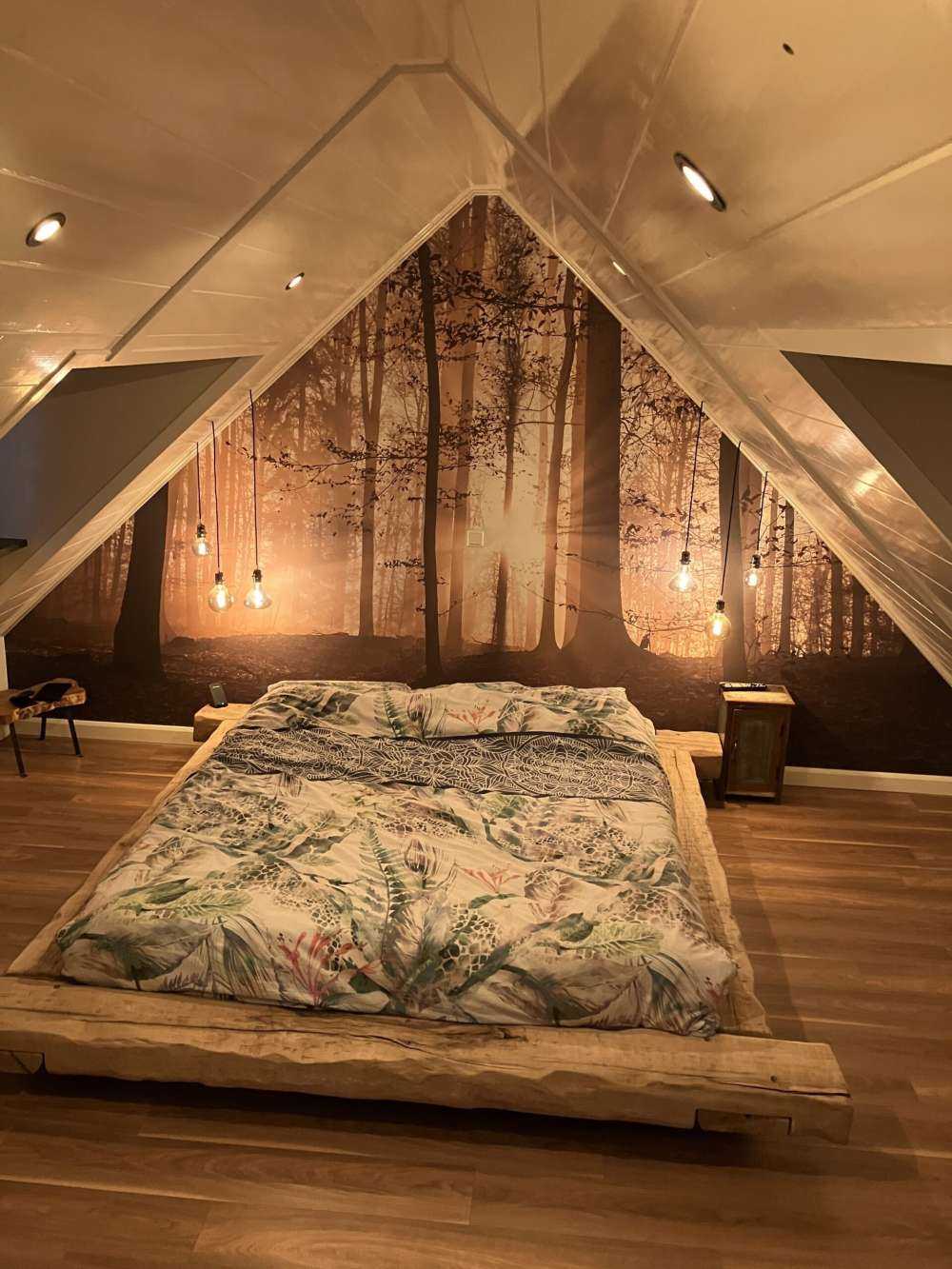 Solskin i en tåget skov