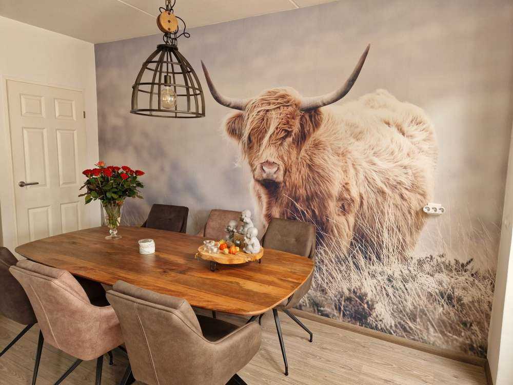 Skotsk hoglandare i naturenn