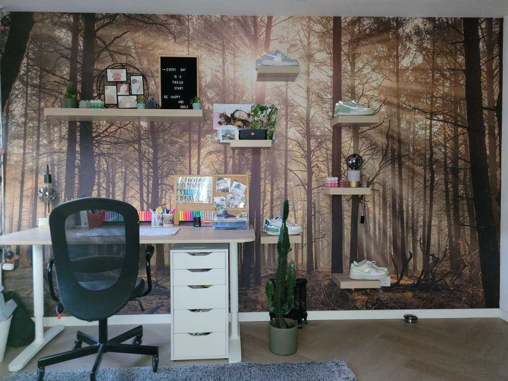 Skog med høye trær