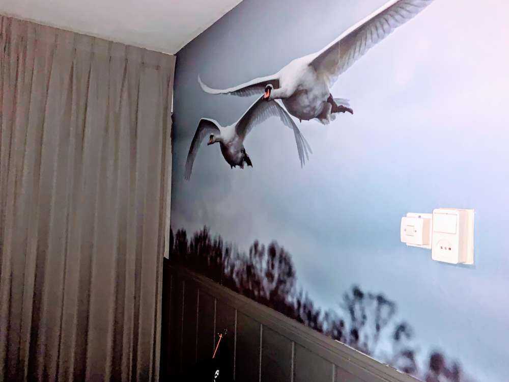 Flygende svaner