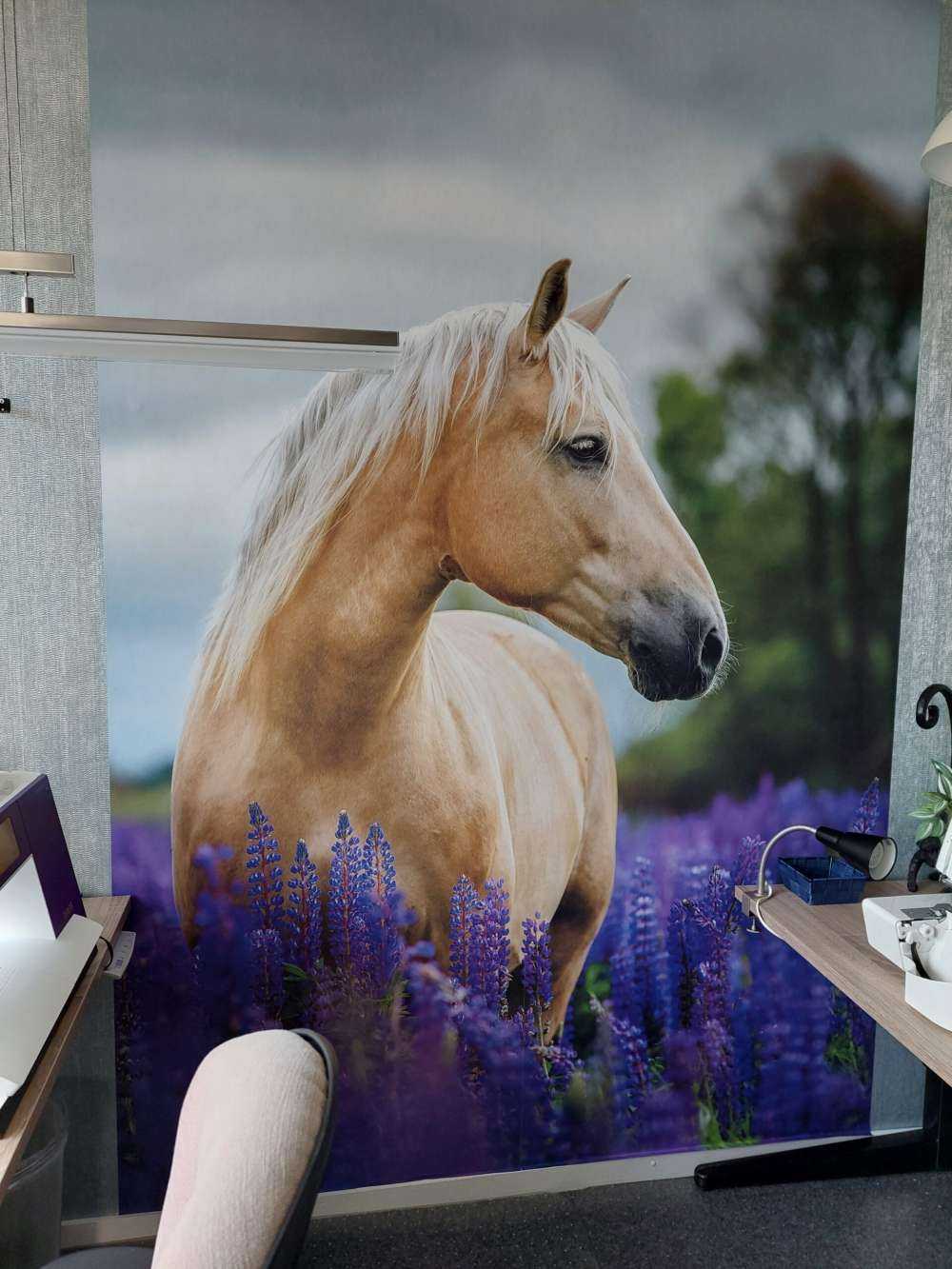 Hest blant sommerfuglblomstene