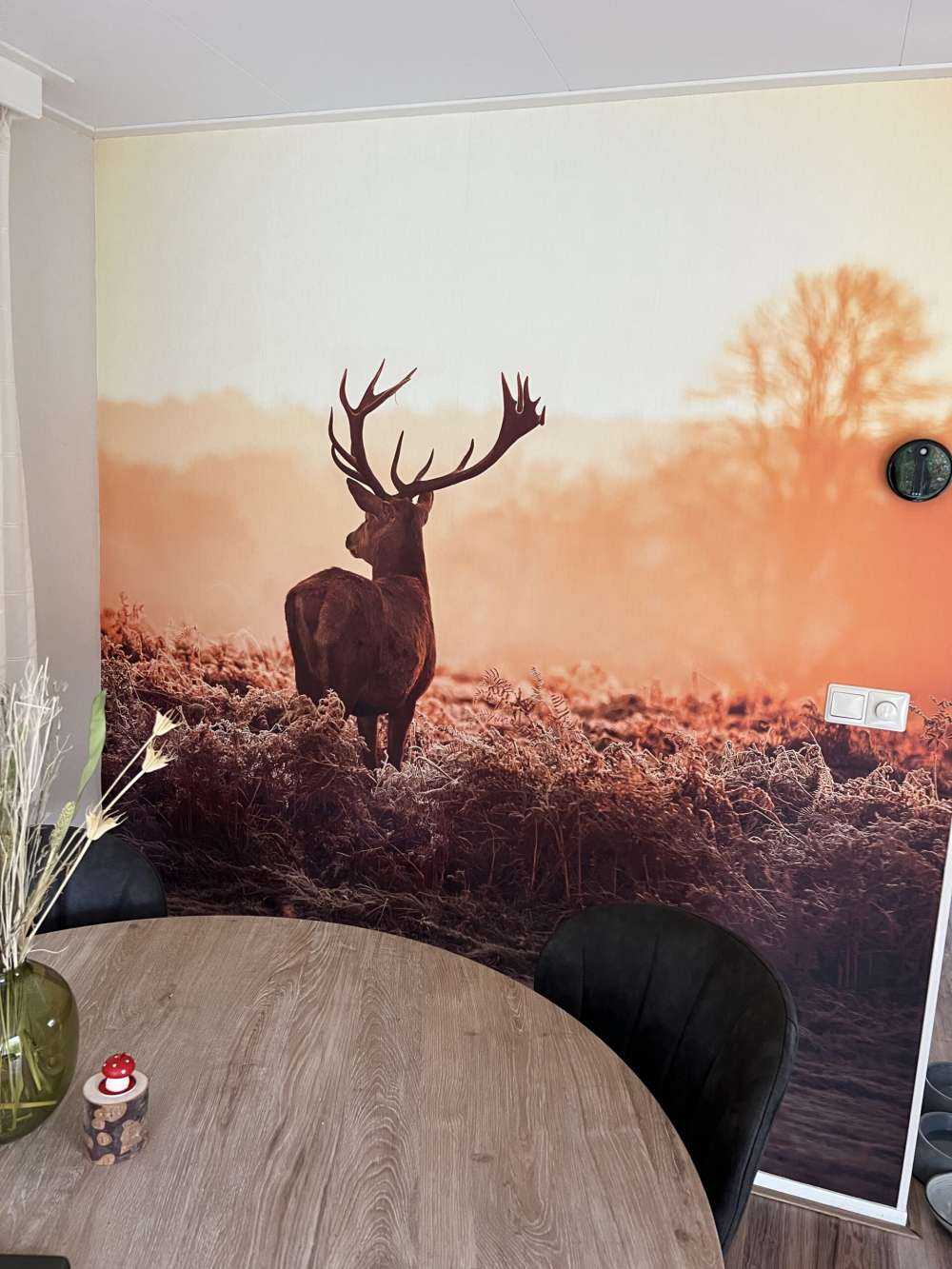 Hert bij zonsopkomst