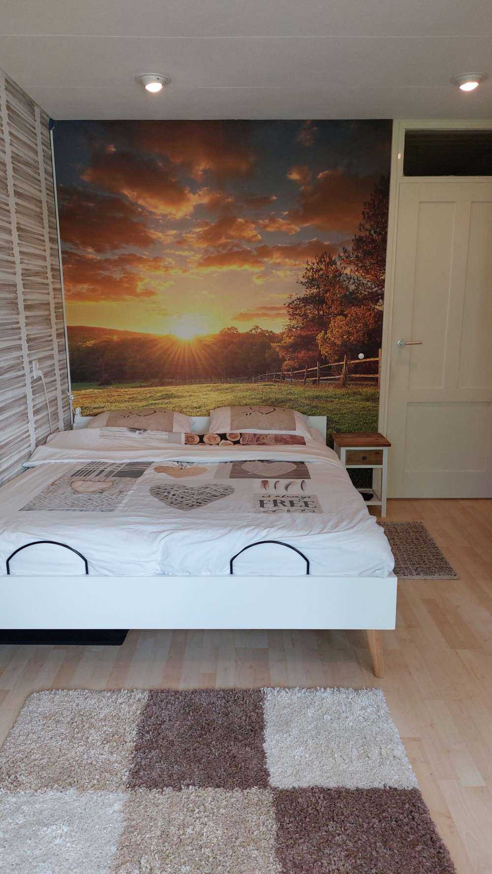 Græs ved solnedgang