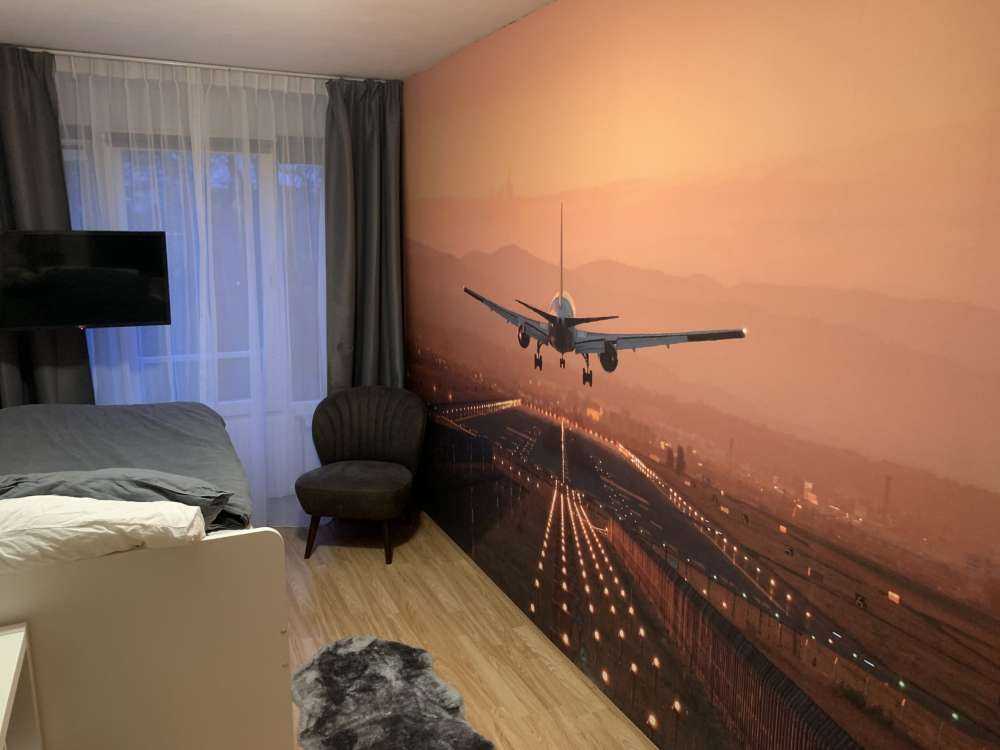 Landingsfly i aftensolen