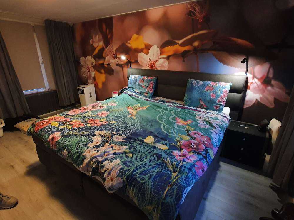 Lyserøde blomster og brune blade