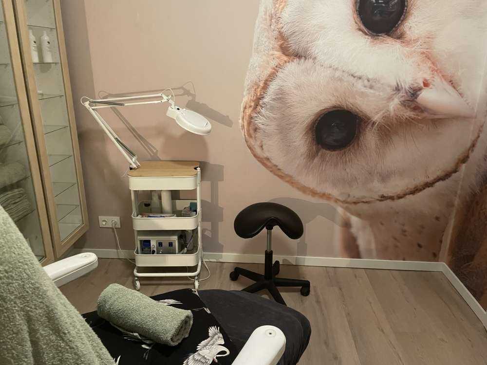 Ugle med hovedet på skrå