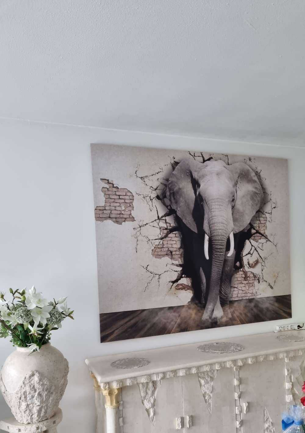 3D elefant fra veggen