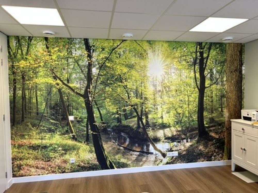 Skog med bekk