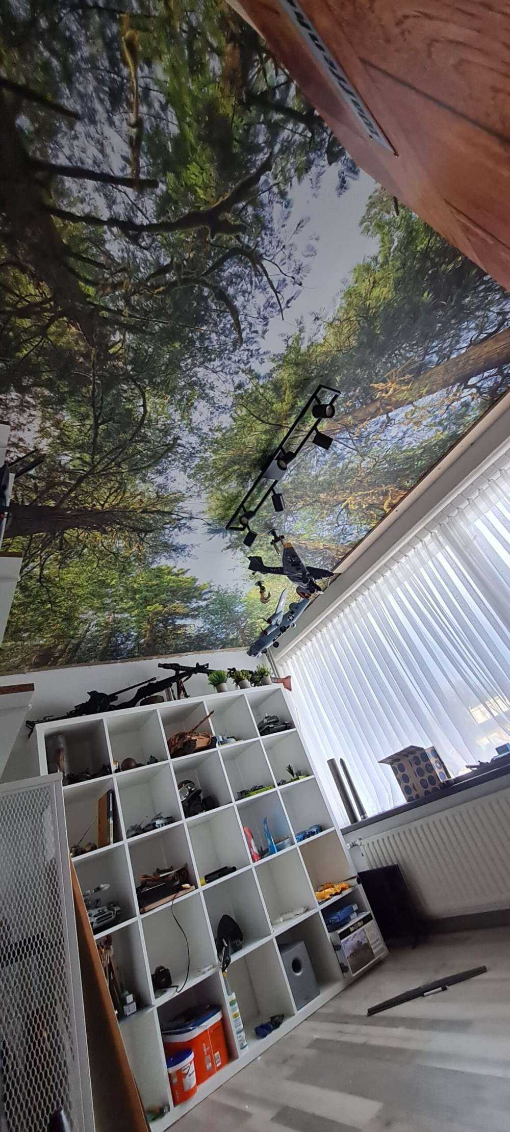 Träd och löv