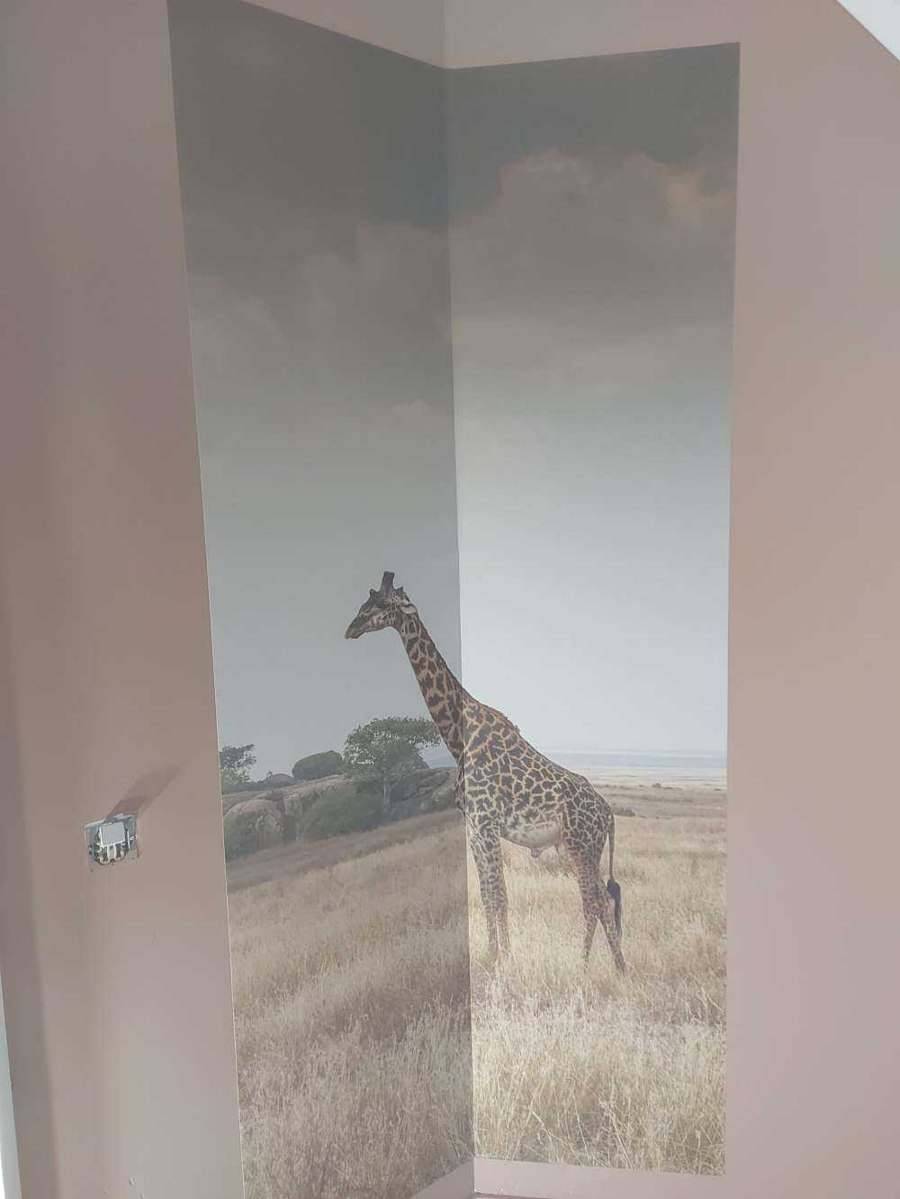 Giraffe på en savanne