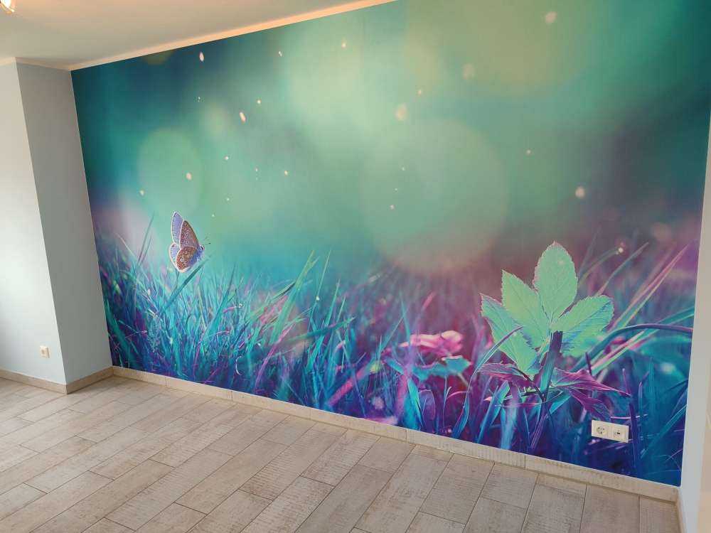 Sommerfugl om morgenen dugg