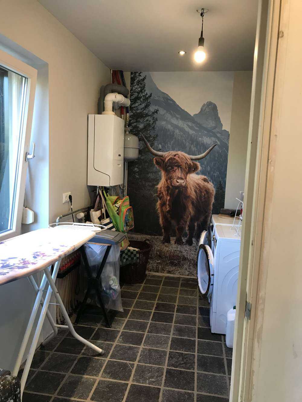 Det skotske høylandet blant trærne