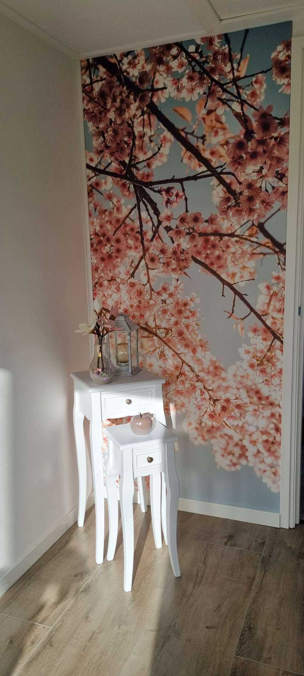 Kirsebærblomst