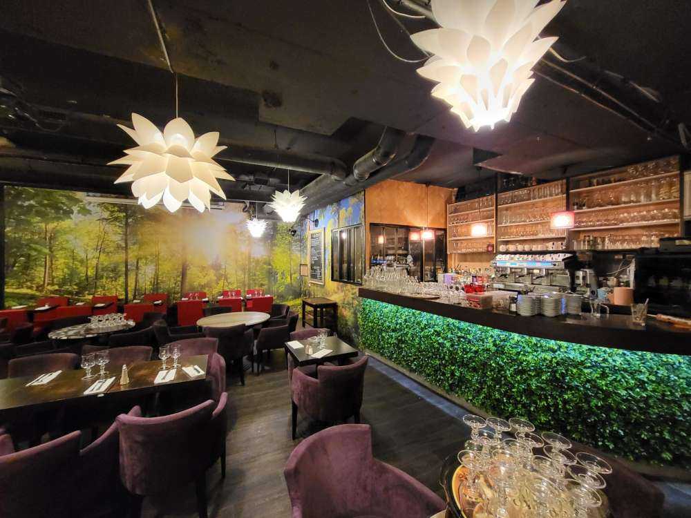 Skog med solstråler