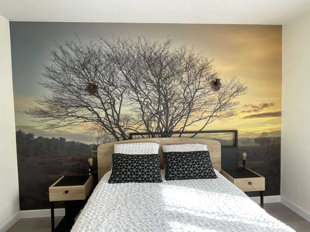 Soloppgang over heien