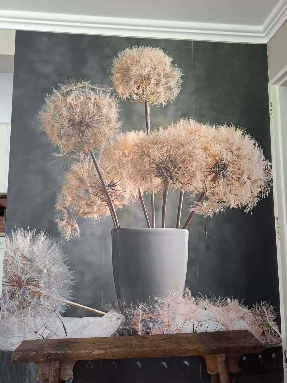 Dandelion Seed Pod