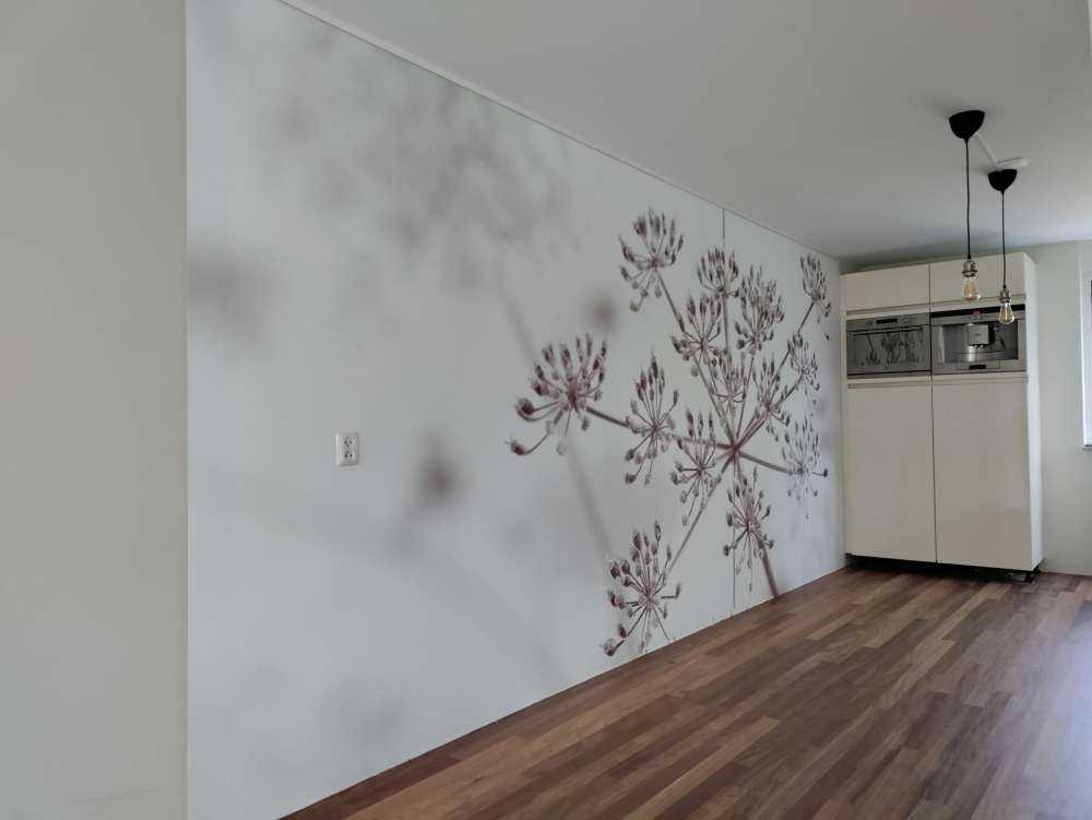 Nærbillede af ko persille