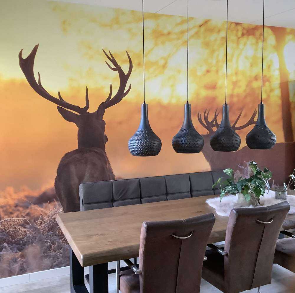 Herten bij zonsondergang