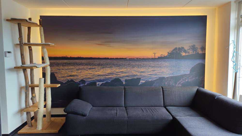 Begyndelsen af __dagen