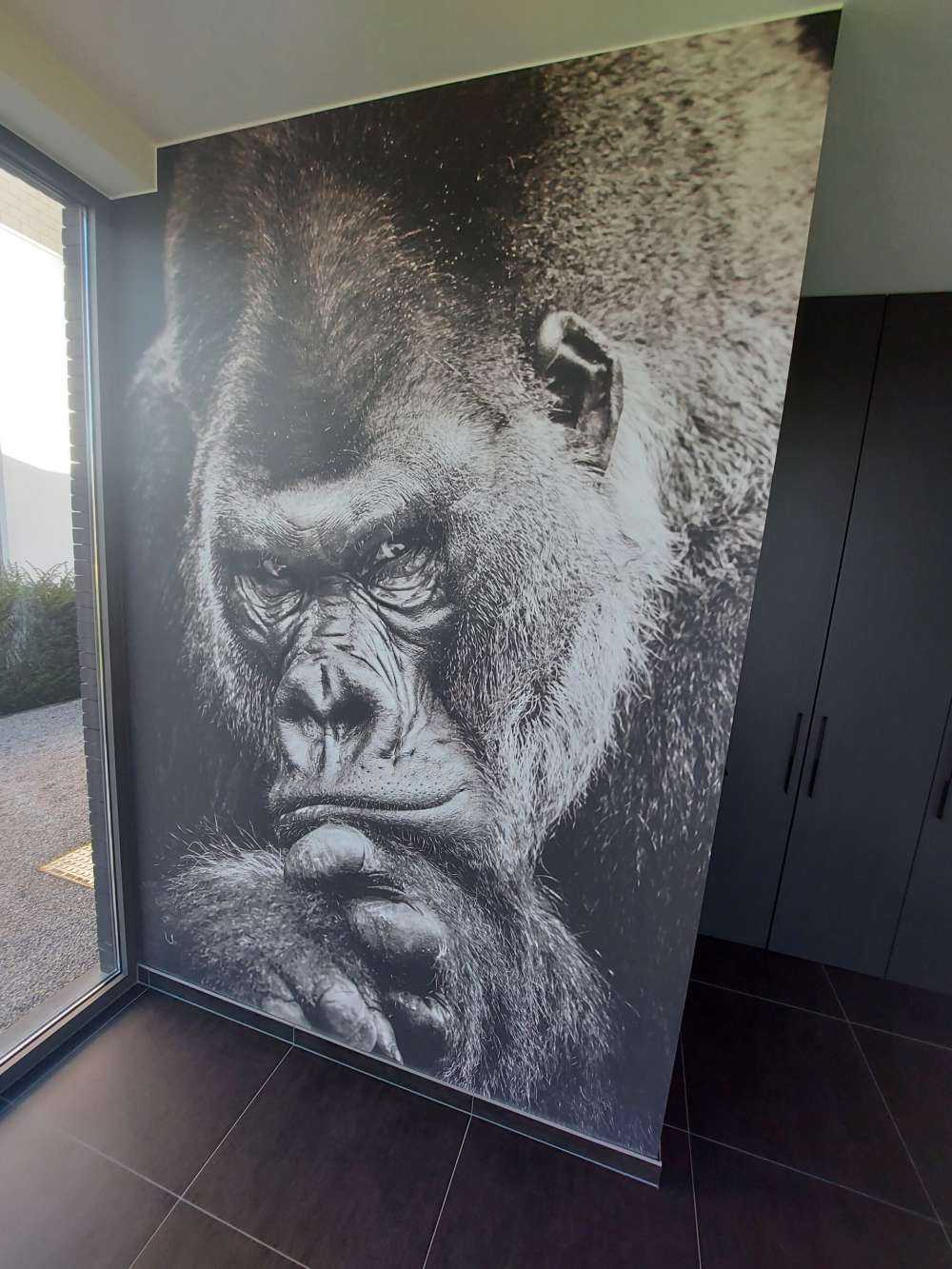 Närbild av en gorilla