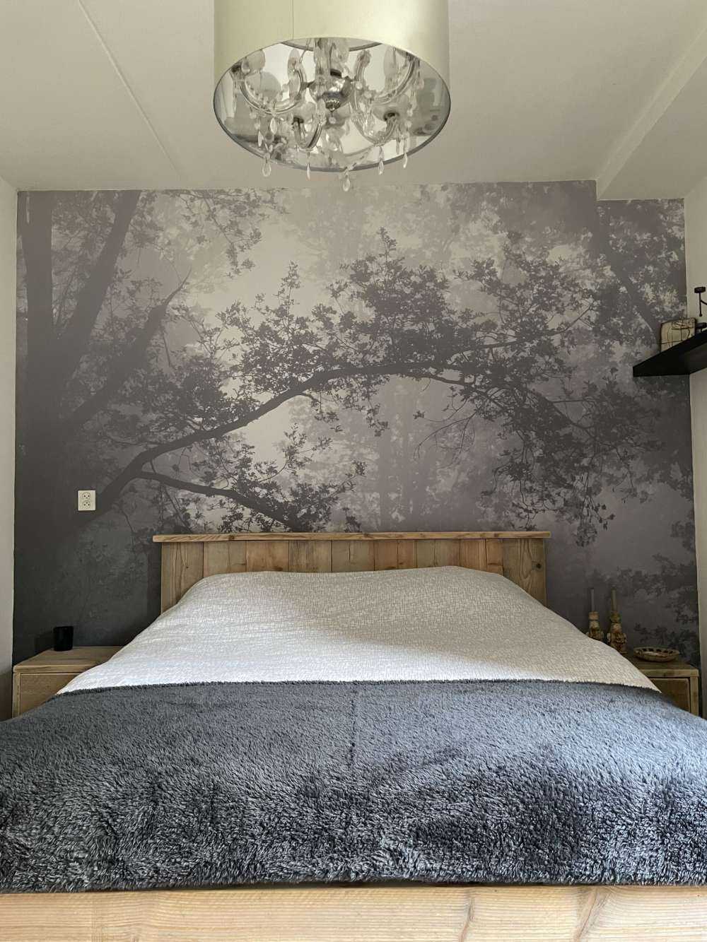 Vacker skog i dimman
