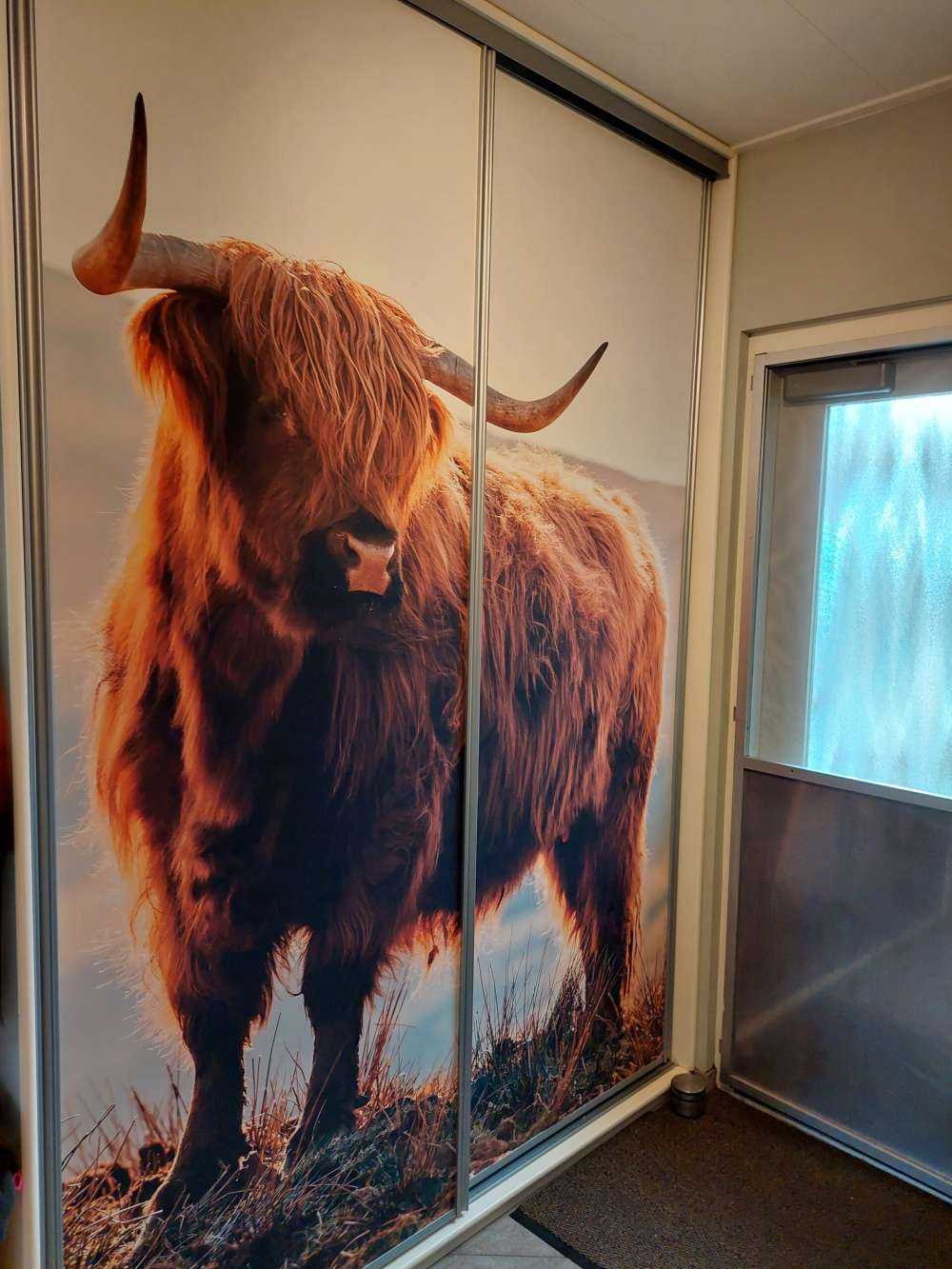 Skotsk hoglandare på en kulle