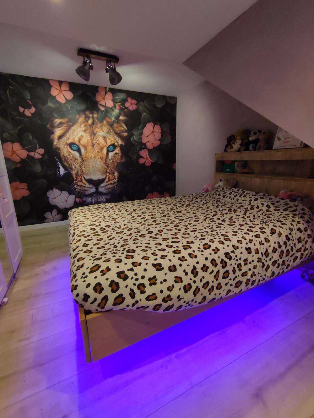 Jungle Lioness