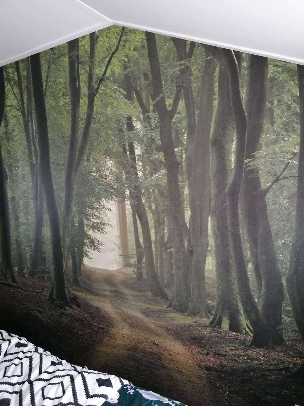 sandstig i skogen