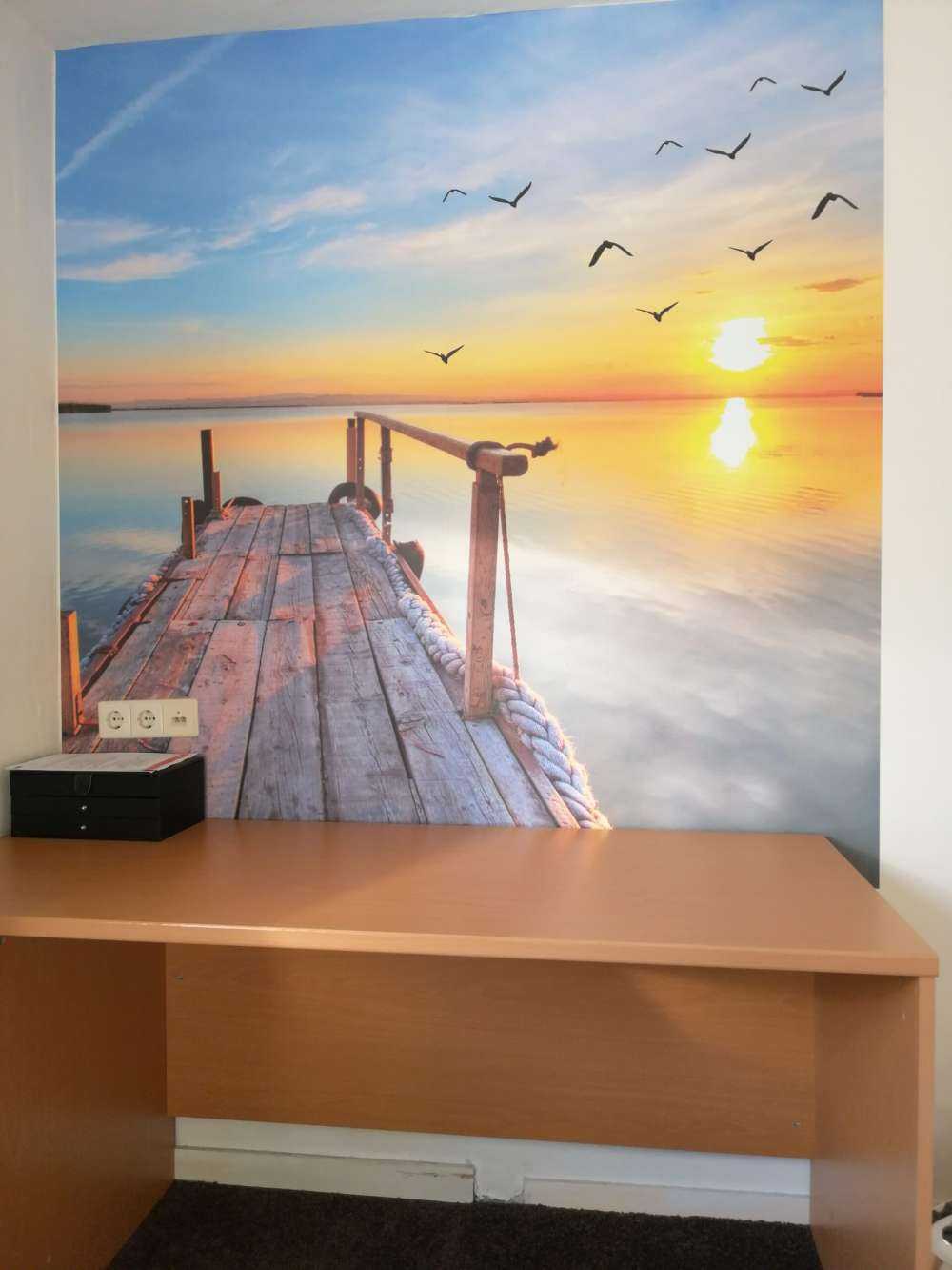 Fåglar ovanför havet