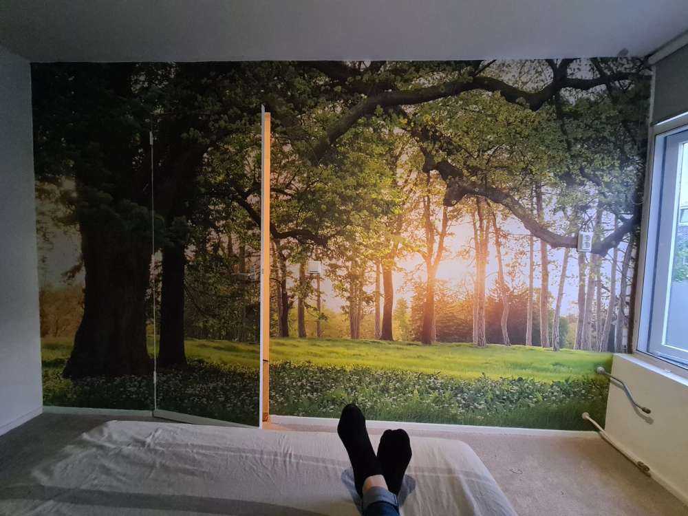 Åpen plass i skogen