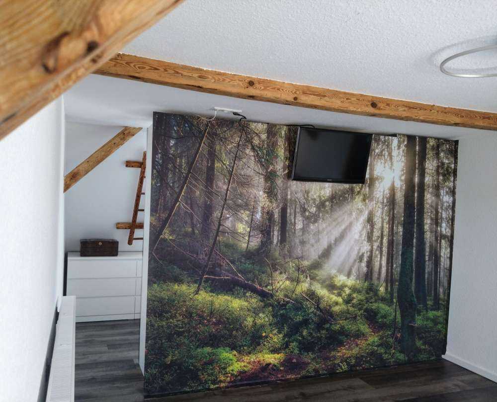 Høstskog med solskinn