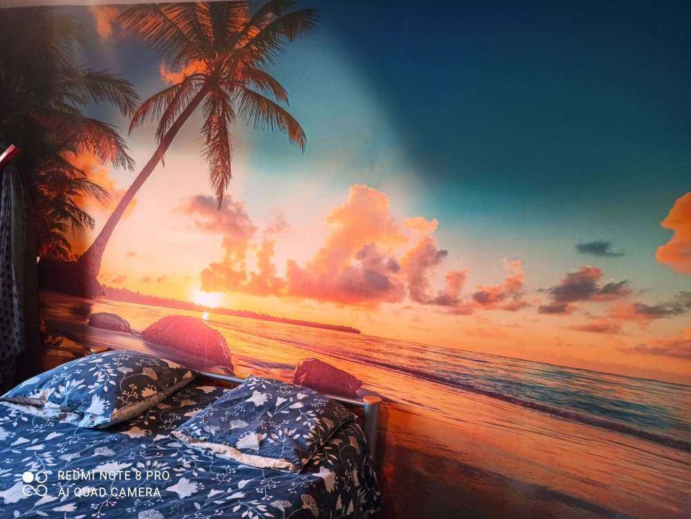 Palmer ved solnedgang