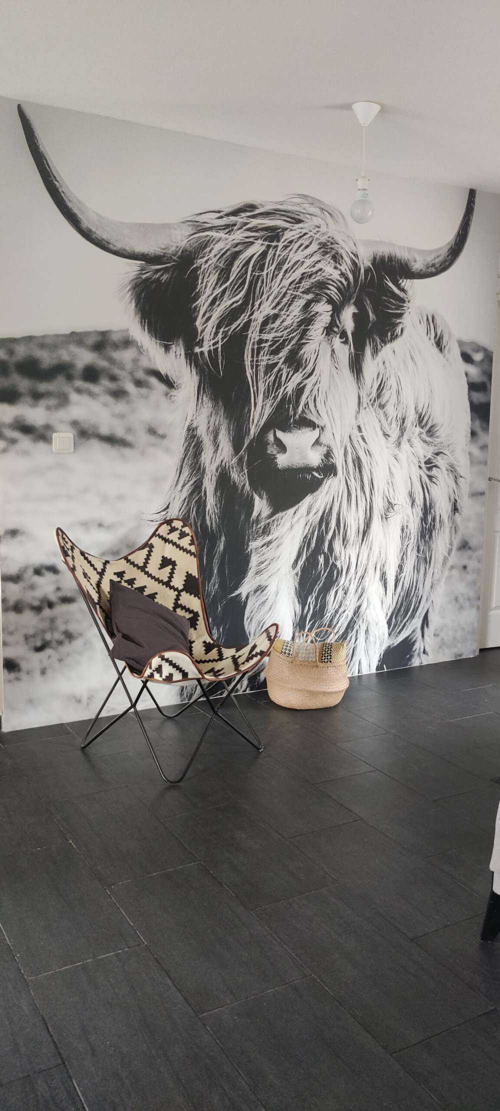 Det skotske høylandet i svart og hvitt