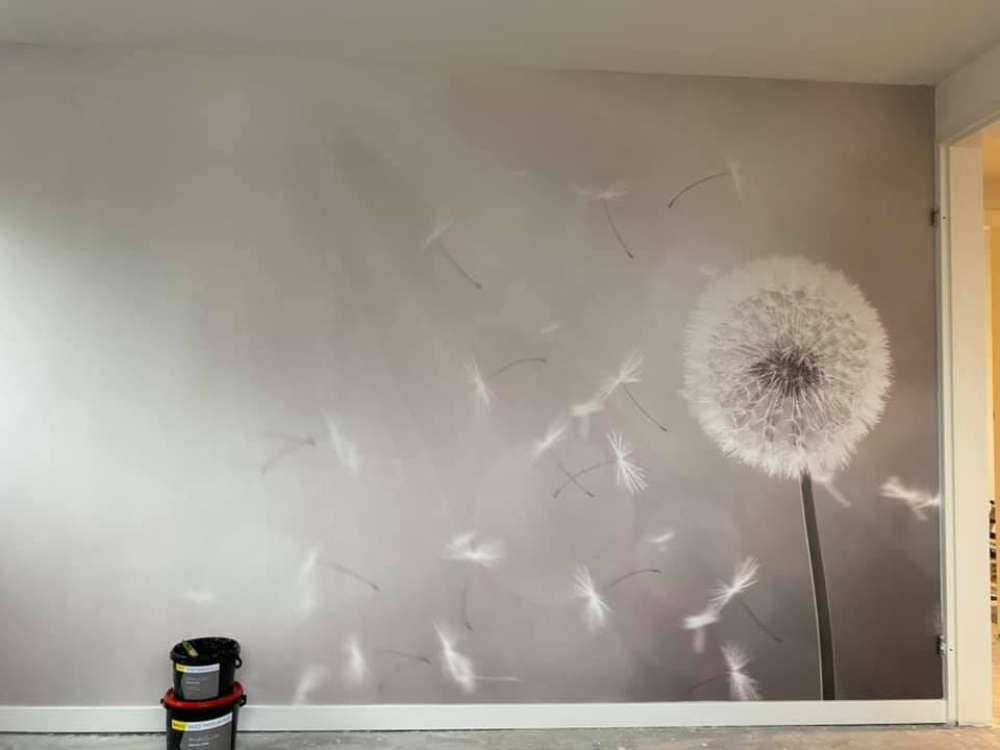 Mælkebøtte i vinden