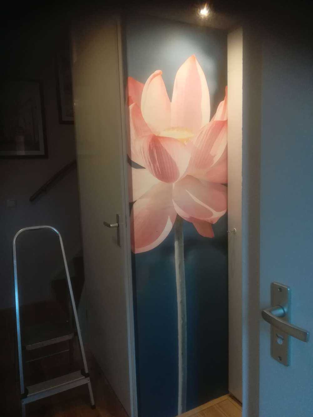 Lotusblomst lyserød