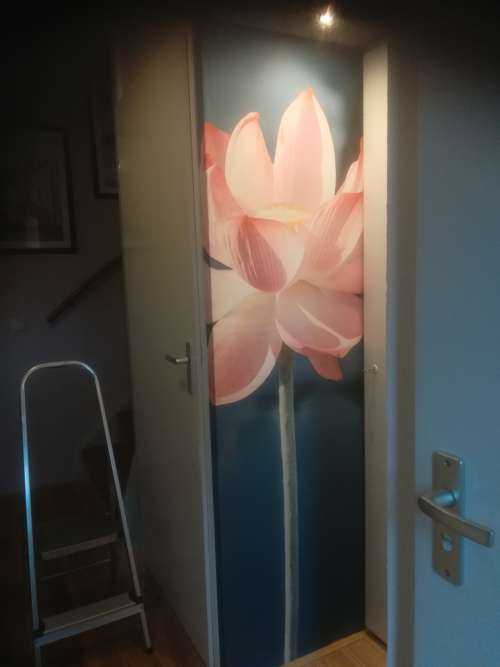 Lotusblomst lyserød