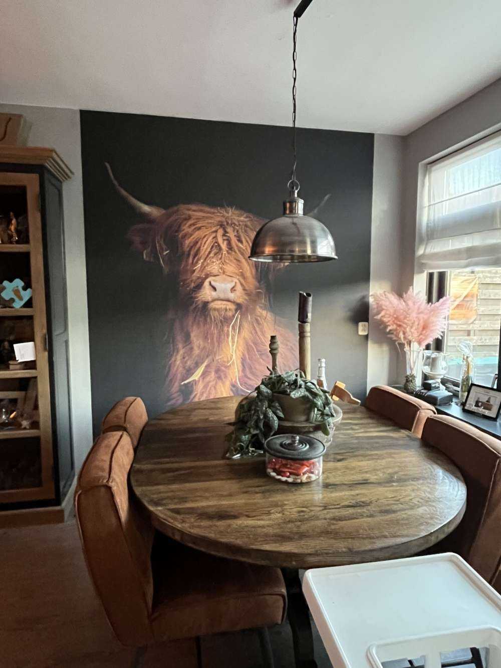 Portræt skotsk højlander
