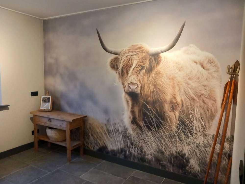 Det skotske høylandet i naturen