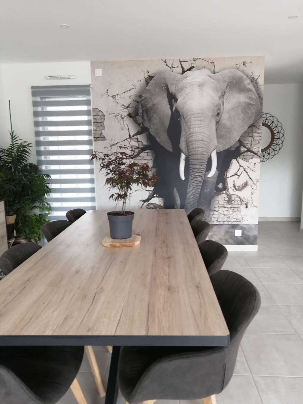 3D elefant fra veggen