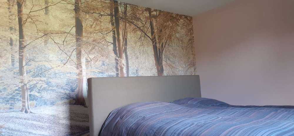 Bekk i skog - pastell