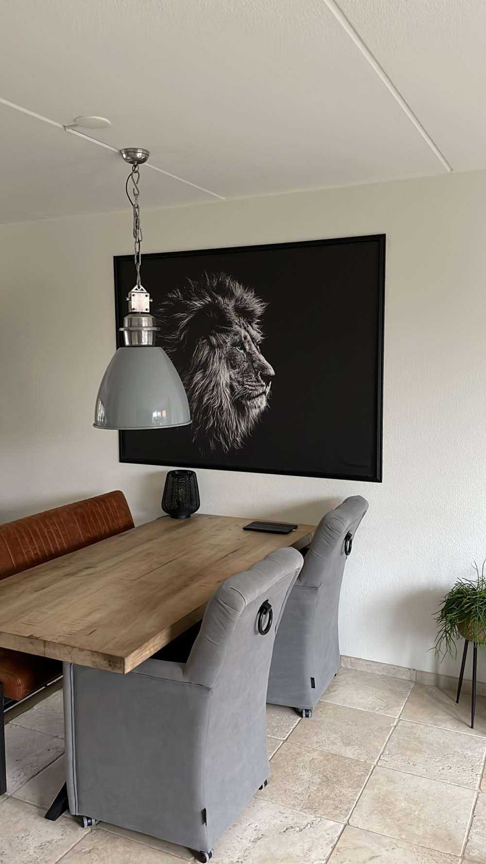 Lejon med blå ögon