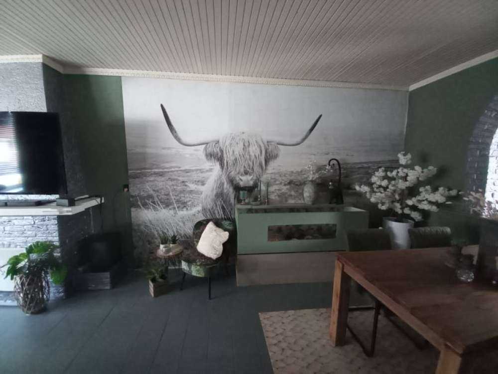 Skotsk hoglandare med vass