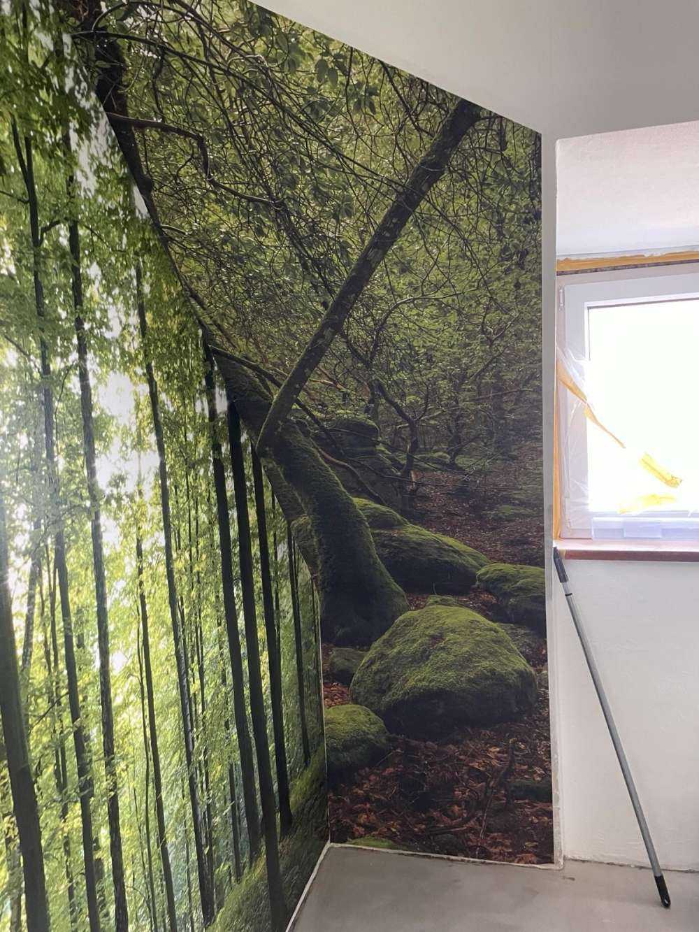 Träd och mossstenar