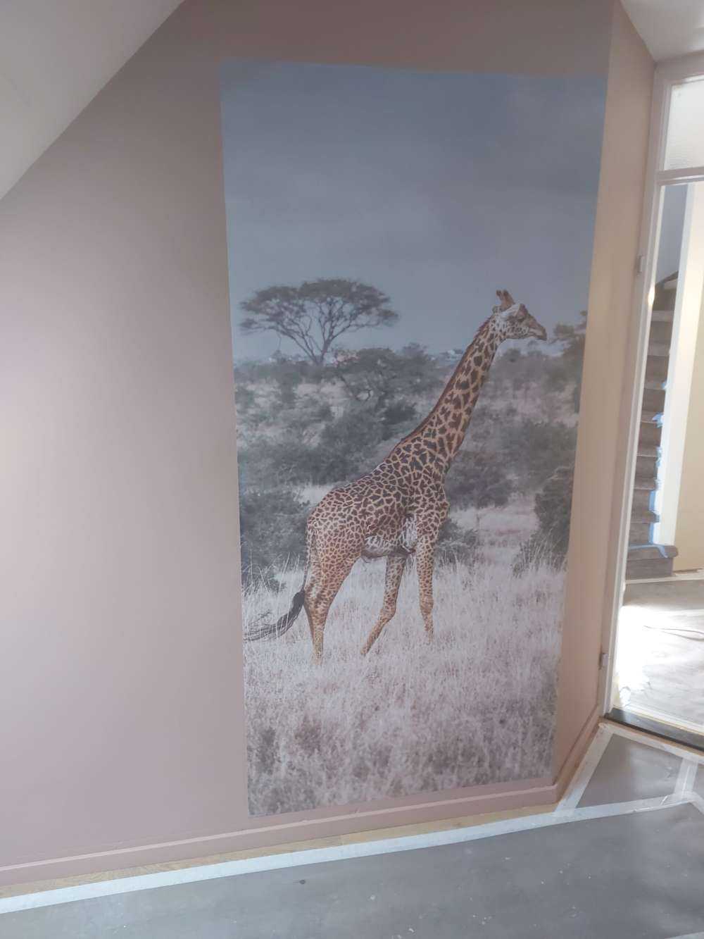 Giraff porträtt