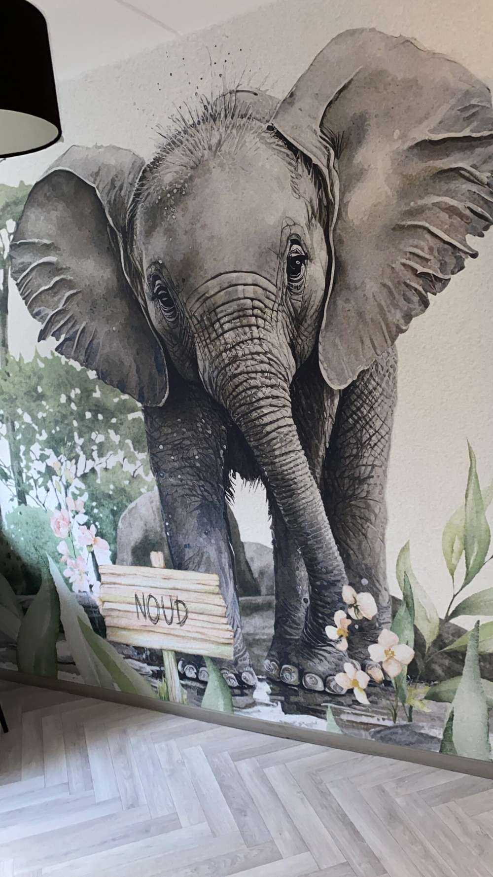 Elefant i djungeln