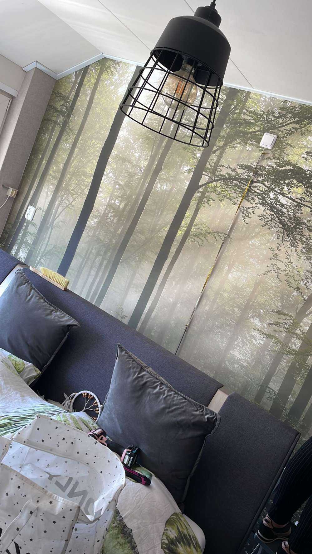 Grøn skov i tågen
