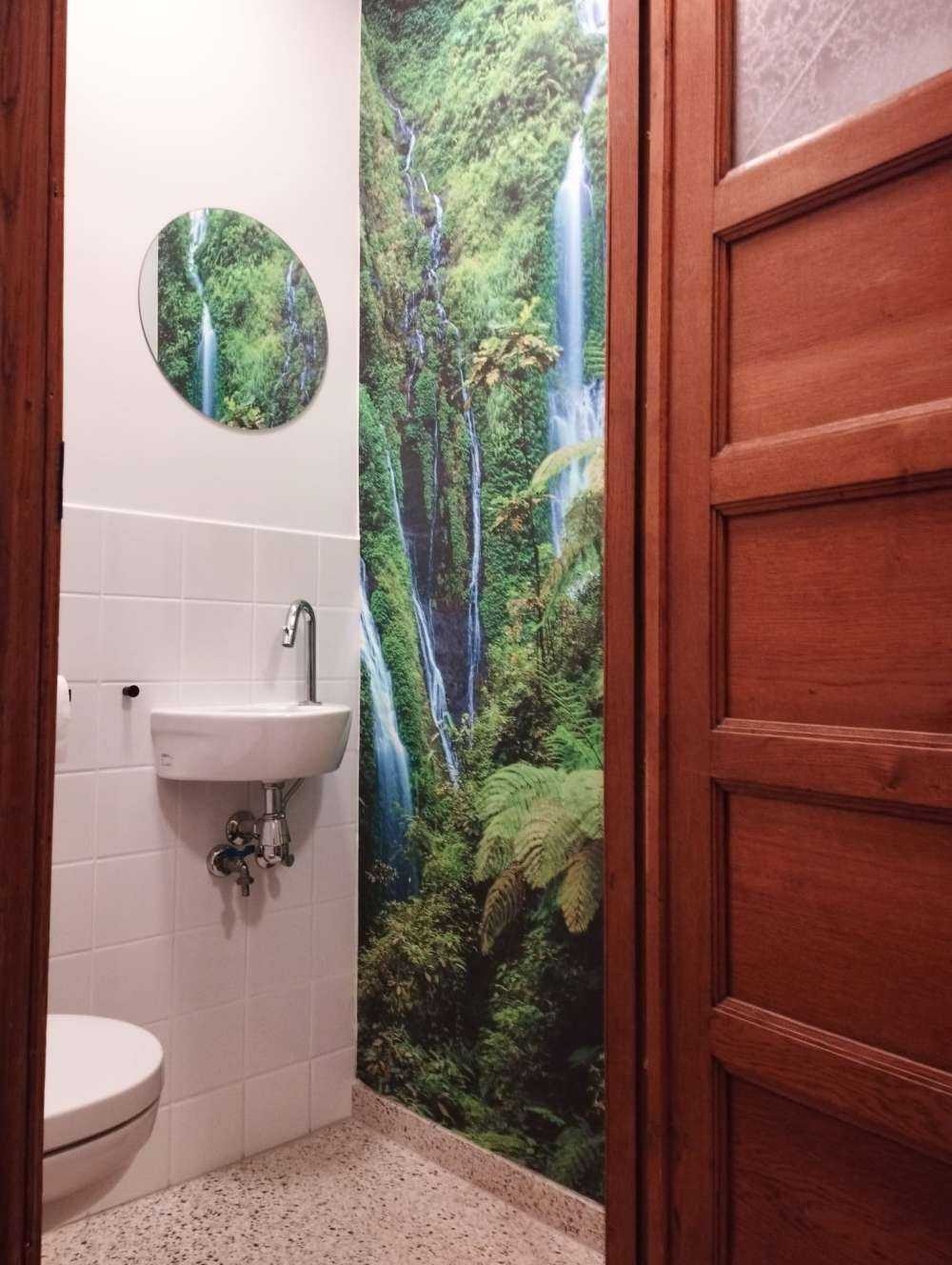 Grøn jungle og vandfald