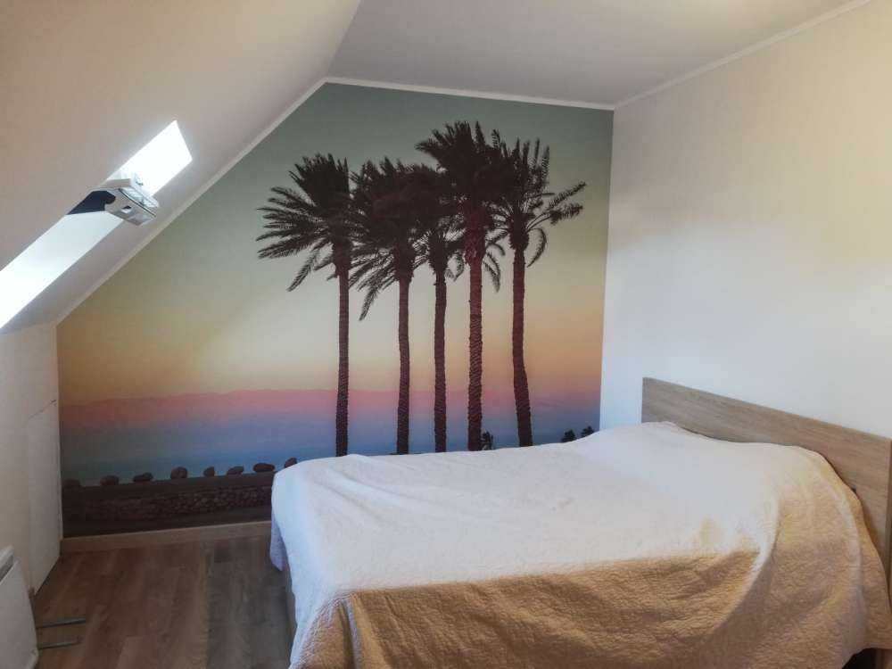 Palmetræer ved solnedgang