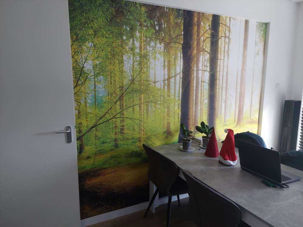 Frisk grønn skog